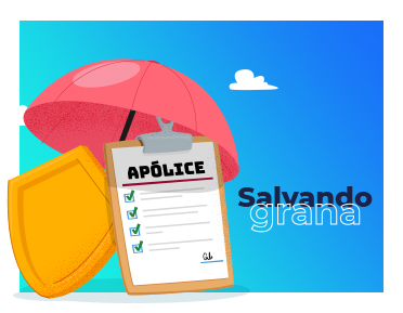 Apólice de seguro: o que é, para que serve, confira detalhes.
