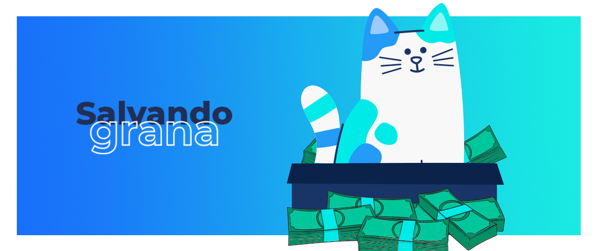 Quanto custa ter um gato? Confira os principais gastos!