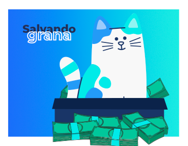 Quanto custa ter um gato? Confira os principais gastos!